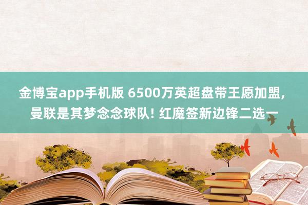 金博宝app手机版 6500万英超盘带王愿加盟, 曼联是其梦念念球队! 红魔签新边锋二选一
