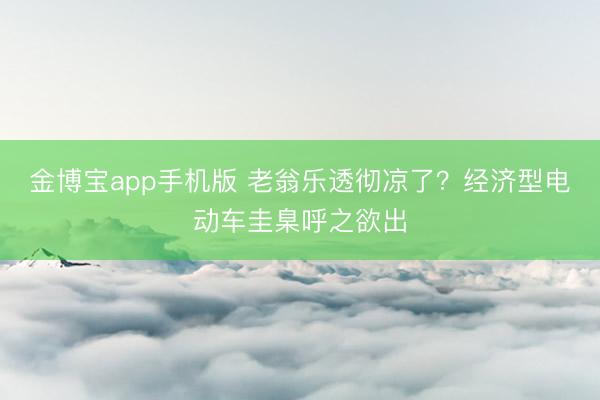 金博宝app手机版 老翁乐透彻凉了?经济型电动车圭臬呼之欲出