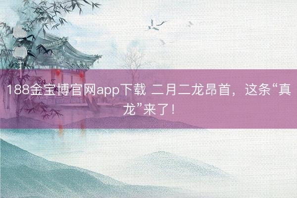 188金宝博官网app下载 二月二龙昂首，这条“真龙”来了！