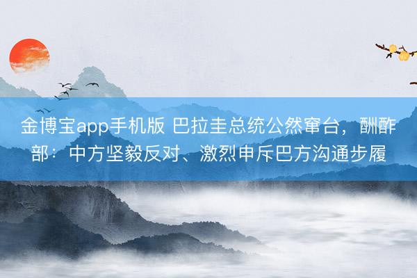 金博宝app手机版 巴拉圭总统公然窜台，酬酢部：中方坚毅反对、激烈申斥巴方沟通步履