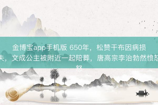金博宝app手机版 650年，松赞干布因病损失，文成公主被附近一起陪葬，唐高宗李治勃然愤怒