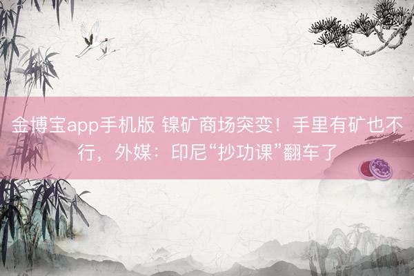 金博宝app手机版 镍矿商场突变！手里有矿也不行，外媒：印尼“抄功课”翻车了