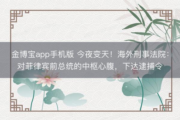 金博宝app手机版 今夜变天！海外刑事法院：对菲律宾前总统的中枢心腹，下达逮捕令