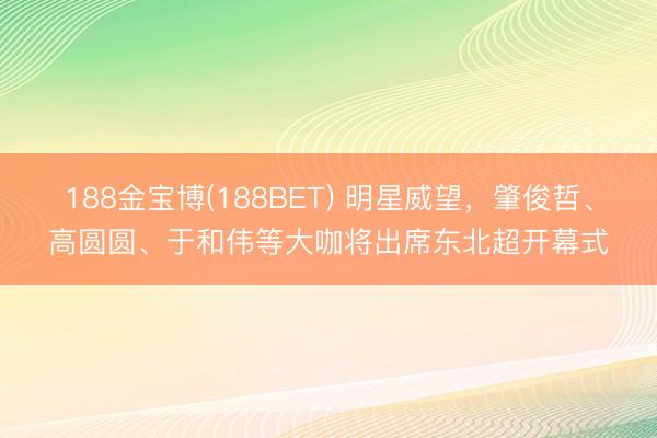 188金宝博(188BET) 明星威望，肇俊哲、高圆圆、于和伟等大咖将出席东北超开幕式