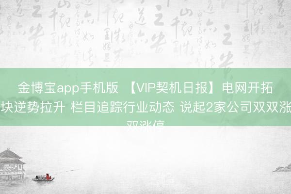 金博宝app手机版 【VIP契机日报】电网开拓板块逆势拉升 栏目追踪行业动态 说起2家公司双双涨停