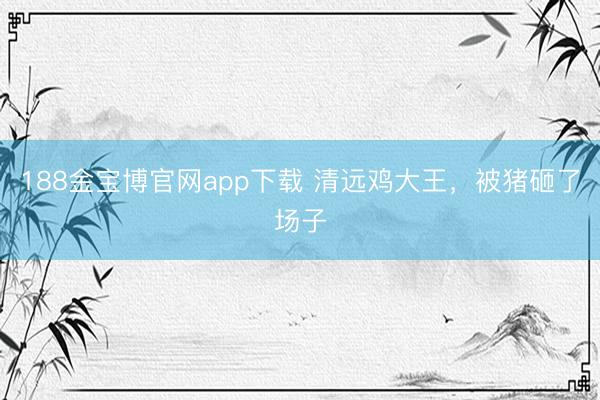 188金宝博官网app下载 清远鸡大王，被猪砸了场子