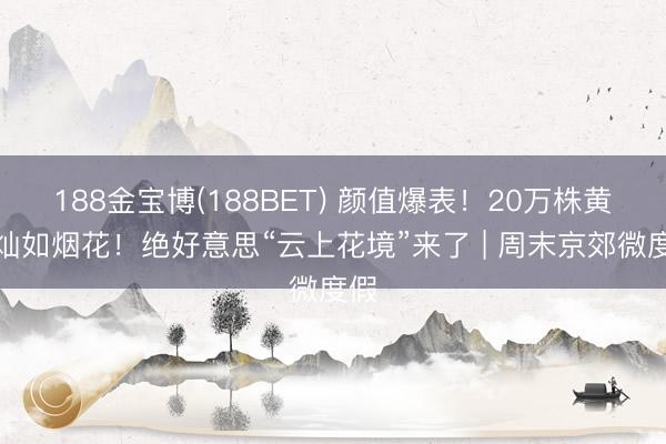 188金宝博(188BET) 颜值爆表！20万株黄栌灿如烟花！绝好意思“云上花境”来了 | 周末京郊微度假