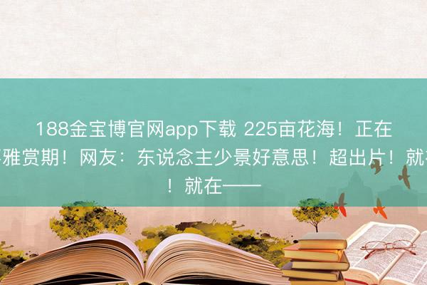 188金宝博官网app下载 225亩花海！正在最好不雅赏期！网友：东说念主少景好意思！超出片！就在——