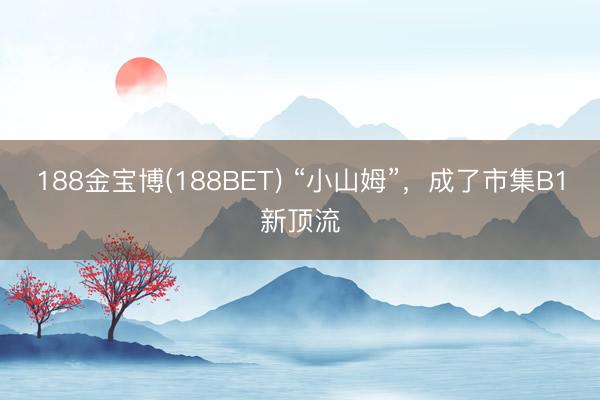 188金宝博(188BET) “小山姆”，成了市集B1新顶流