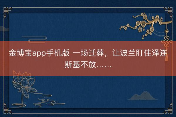 金博宝app手机版 一场迁葬，让波兰盯住泽连斯基不放……