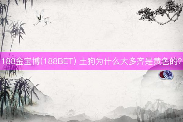 188金宝博(188BET) 土狗为什么大多齐是黄色的？