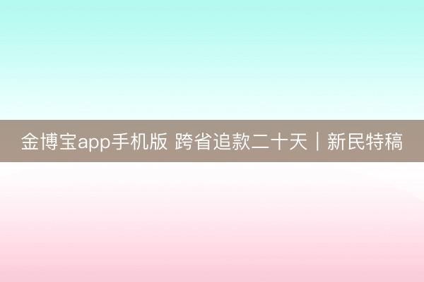 金博宝app手机版 跨省追款二十天｜新民特稿