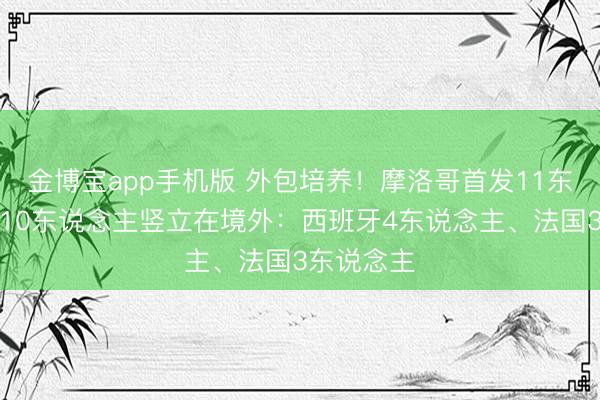 金博宝app手机版 外包培养！摩洛哥首发11东说念主有10东说念主竖立在境外：西班牙4东说念主、法国3东说念主