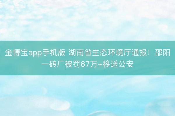 金博宝app手机版 湖南省生态环境厅通报!邵阳一砖厂被罚67万+移送公安