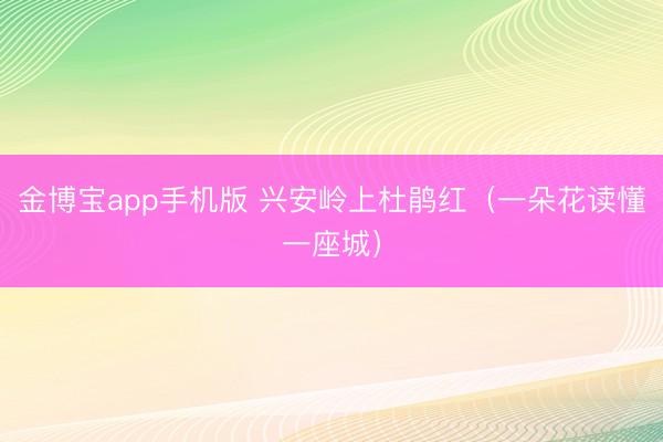 金博宝app手机版 兴安岭上杜鹃红（一朵花读懂一座城）